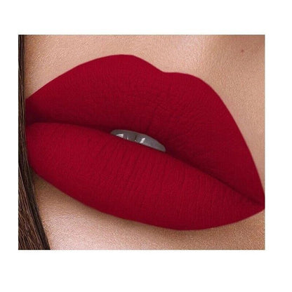 Handaiyan 12 Piece Matte Liquid Lipstick Collection Featuring Two Complete Lipstick Sets with Nude Pink Red Mauve and Wine Shades
